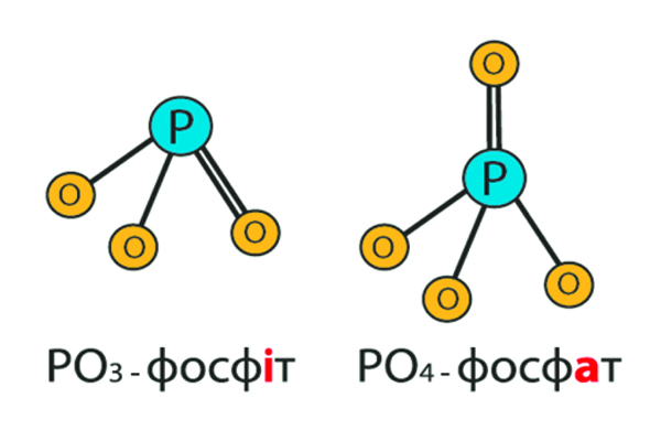 Рис. 1. Хімічна структура фосфату та фосфіту